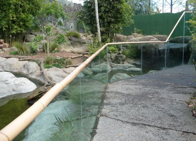 bamboo balustrade capping auckland zoo3